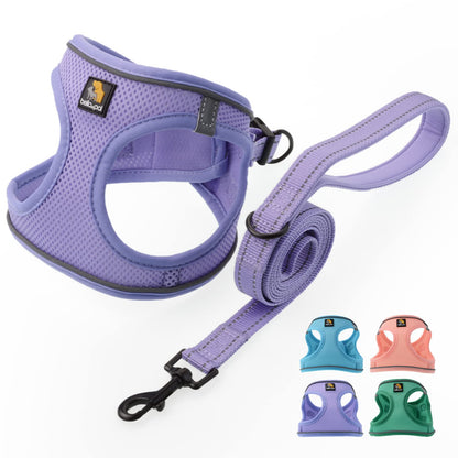 BELLA & PAL Dog Harness and Leash Set, Step-in Puppy Harness, Breathable Air Mesh with Reflective Strips, No Pull Vest for Puppies/Extra Small/Small Dogs, Purple, S