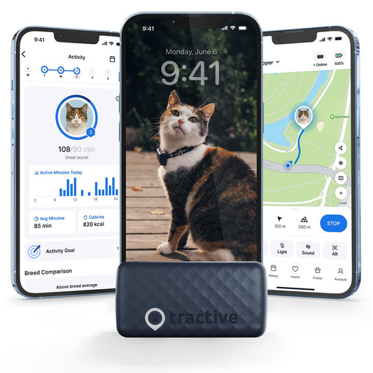Tractive Smart Cat GPS Tracker | Real-Time Location & Wellness Monitoring for Cats 6.5 lbs+ | Territory & Location History | Up to 5-Day Battery | Breakaway Collar Included (Dark Blue)