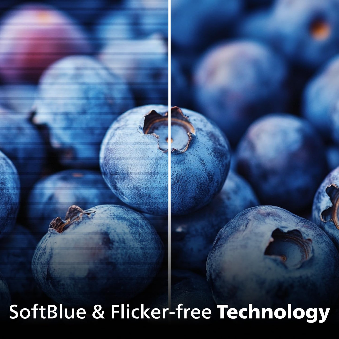 Philips 221V8LB 22 inch Class Thin Full HD (1920 x 1080) Monitor, 100Hz Refresh Rate, VESA, HDMI x1, VGA x1, LowBlue Mode, Adaptive Sync, 4 Year Advance Replacement Warranty