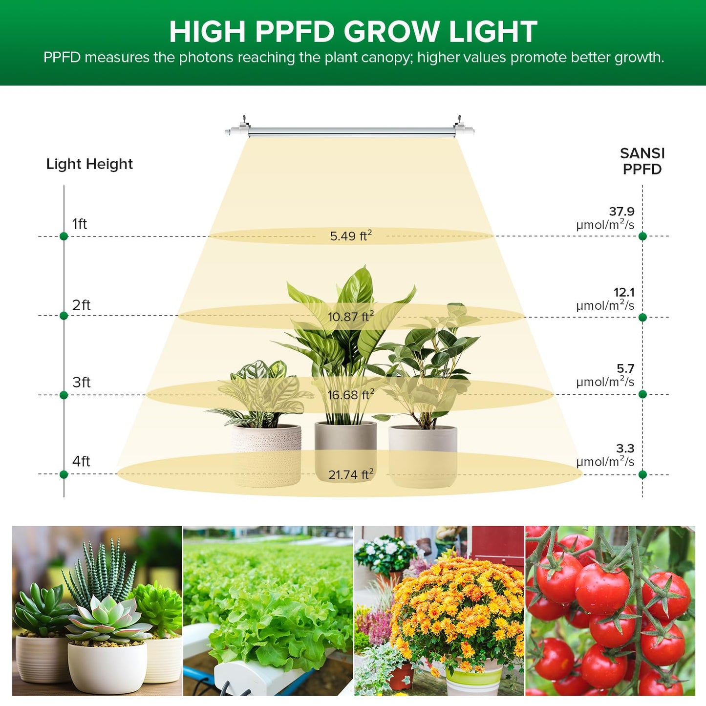 SANSI T8 Grow Lights for Indoor Plants, 2FT 4000K Full Spectrum, 25W (195W Equivalent) LED Grow Light Strips with 4-Level Dimmable, Auto On Off 4 8 12 Hrs Timer, IP54 Waterproof for Seed Starting