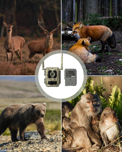 CAMOVUE True 4K 4G LTE Cellular Hunting Camera Outdoor+Battery Pack+64G SD Card, 0.2s Trigger Speed, Game or Trail Camera with GPS, Non-Glow IR Night Vision, SIM Card, Motion Capture, Talon Pro Kit