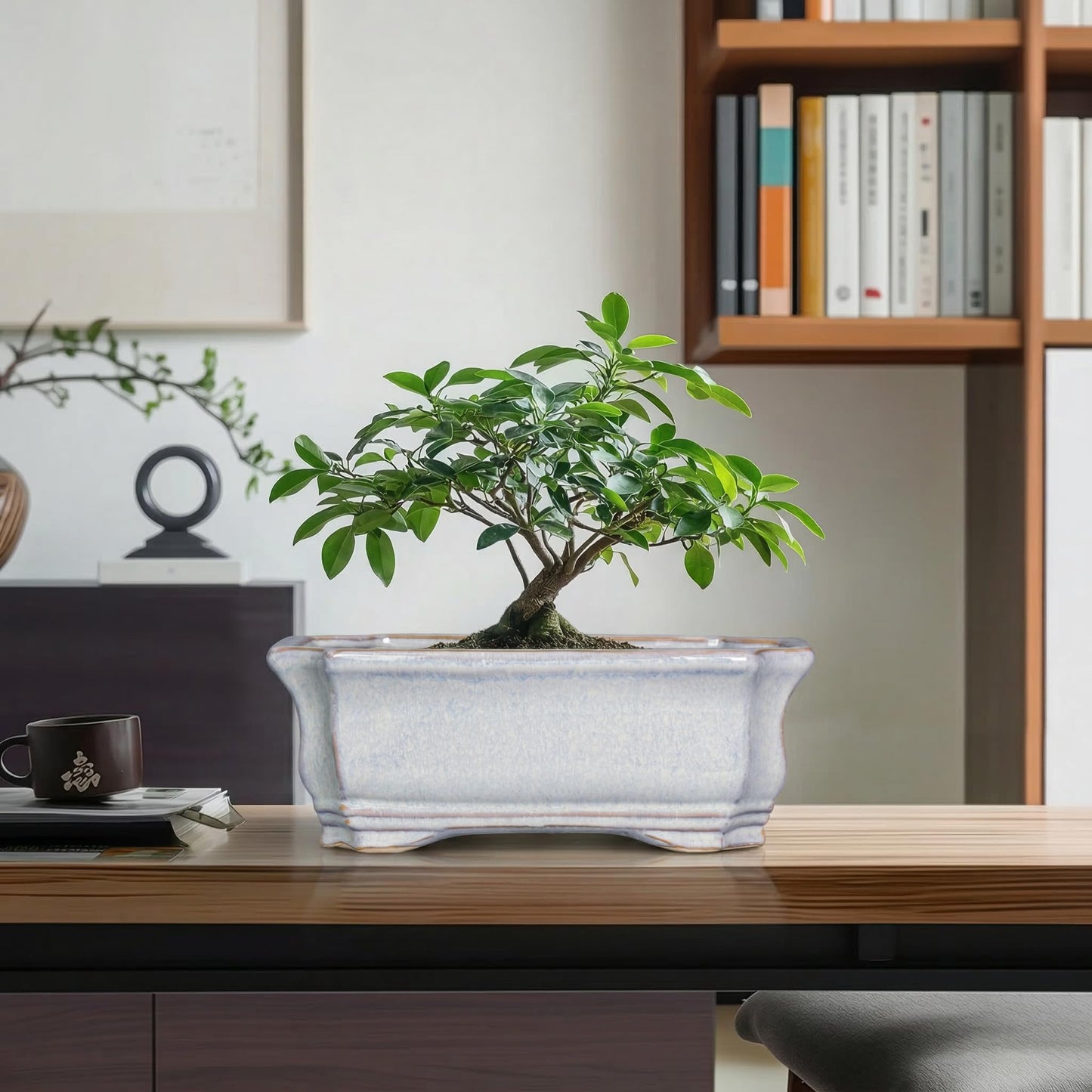 Teagas Ceramic Bonsai Planter - 11.6 Inch Bonsai Tree Pots for Succulent Plants, Succulent Planters with Drainage Hole, Shallow Decorative Planter, House Decor, House Warming Gifts, Rectangular Grey