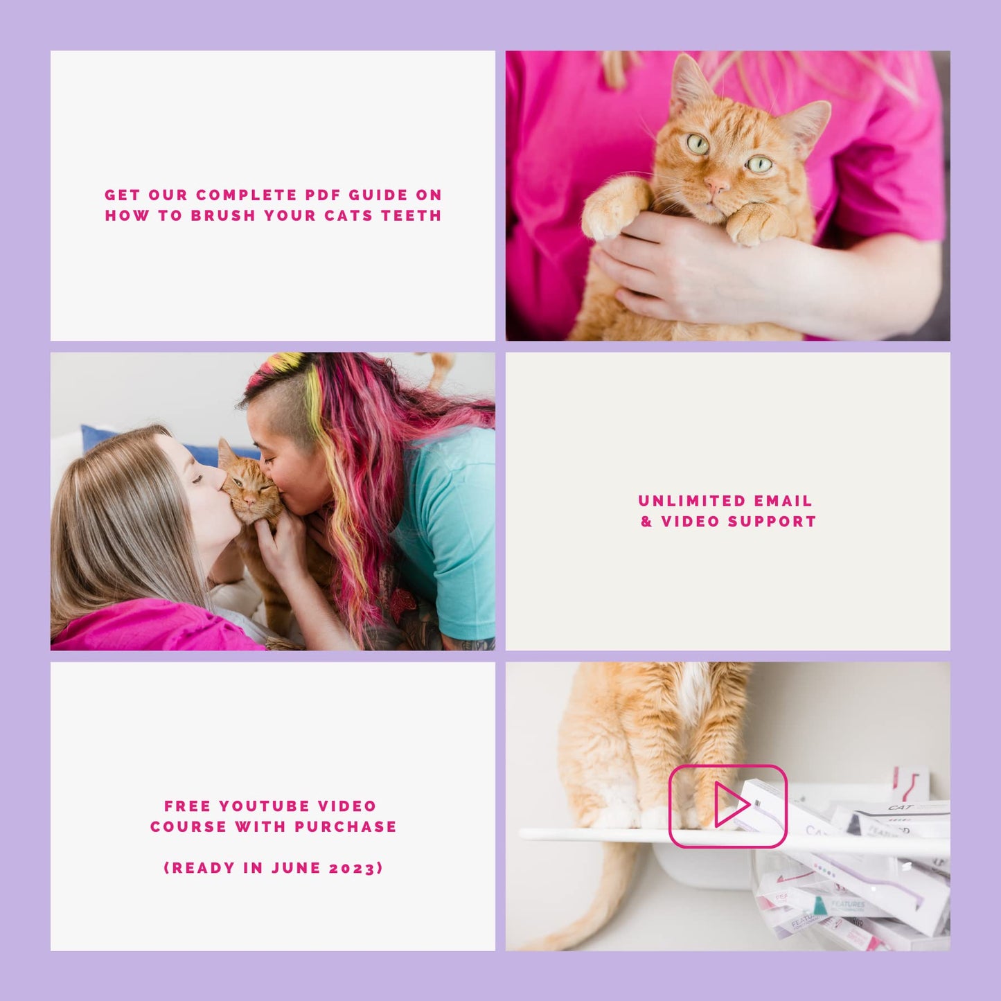 RYERCAT Dual Sided Cat Toothbrush - Kitten Toothbrush with Micro Head (Very Small) to fit into Cat/Kittens Mouth - Cat Dental Care Supplies - Pet Toothbrush for Cats (Amethyst Purple)