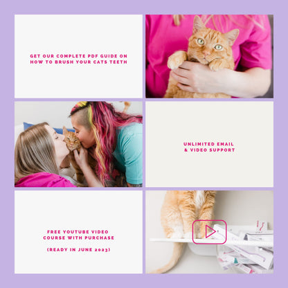 RYERCAT Dual Sided Cat Toothbrush - Kitten Toothbrush with Micro Head (Very Small) to fit into Cat/Kittens Mouth - Cat Dental Care Supplies - Pet Toothbrush for Cats (Amethyst Purple)