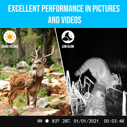 WingHome Upgraded 4G Cellular Trail Camera with UHD Quality Video, 0.2s Trigger, 32GB in-Built & SIM Card, IP66 Waterproof, No Glow Night Vision, for Hunting, Deer Camera (2)