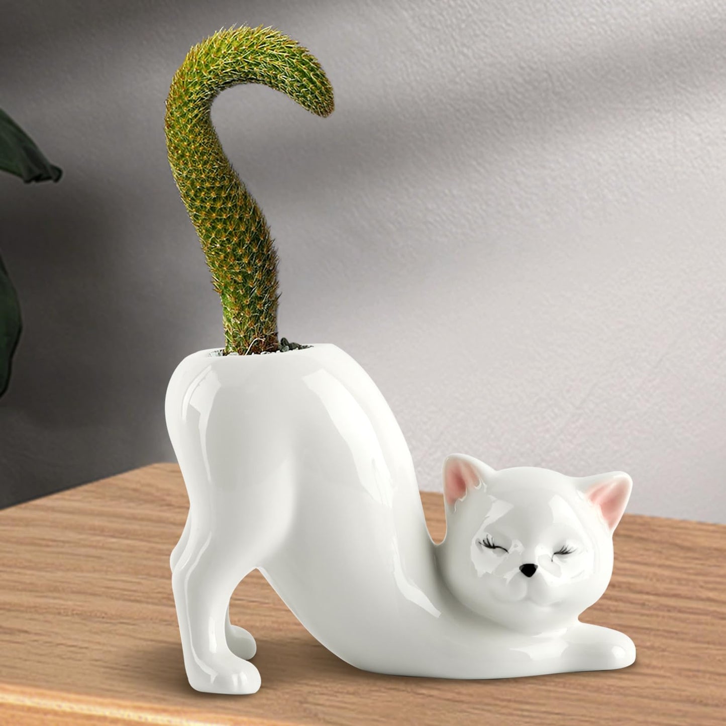 HKZTUY Ceramic Cat Planter Pot for Succulents and Cactus, Small Indoor Kitty Flower Pot with Drainage Hole, 5.71 x 2.95 x 3.86 in, Cute Desk Shelf Home Office Decor, White