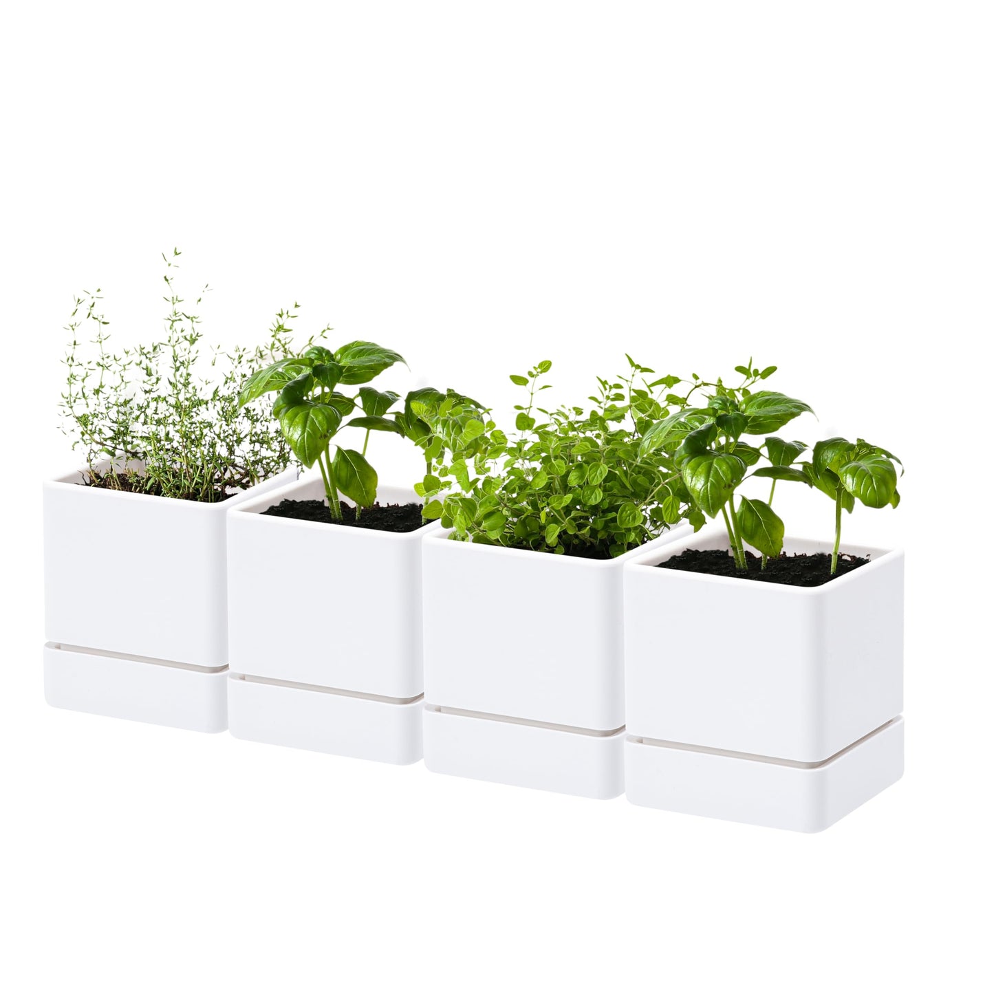 D'vine Dev 4 Inch Herb Planter Pot, Plastic Planter with Drainage Holes and Saucer, Modern Decorative Gardening Pot for Indoor Plants, Flowers, Herbs, Succulents, White, Set of 4, 76-Y-A4-1