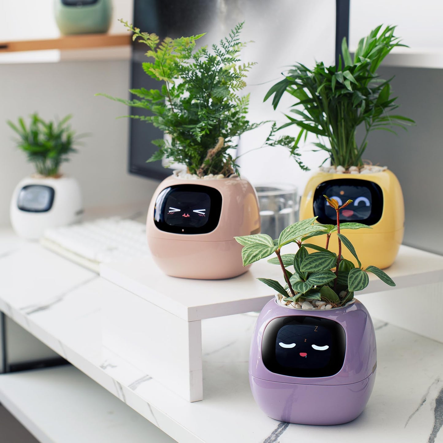 PLANTSIO Smart pet Planter Robot Guidance on Plant Care with Emojis, Adorable Plant Companion with Rich Gesture Interaction, Neat Desk Setup Gift (Yellow)
