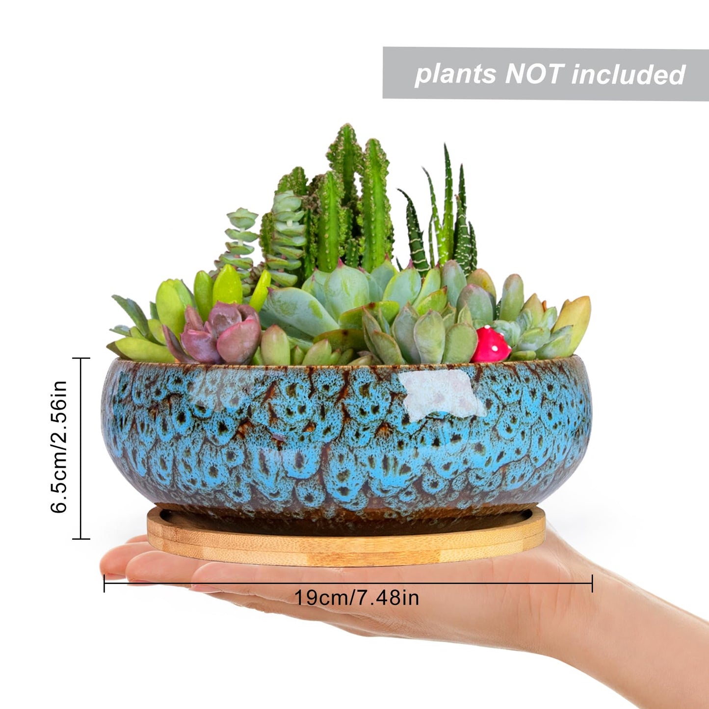 ARTKETTY Succulent Pots - 7.5 Inch Large Plant Pot with Bamboo Tray, Shallow Bonsai Pots with Drainage, Ceramic Planter for Indoor Plants, Cactus, Home Office Desk Decor