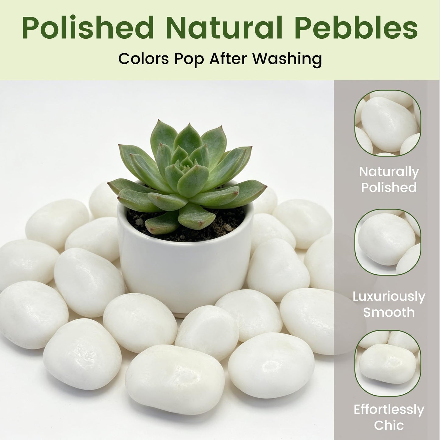 5 lbs White River Rocks, Polished Pebbles for Indoor Plants, 1-2 inch Decorative White Stones for Plants Vase Aquarium Fish Tank and Outdoor Garden Landscaping Rocks