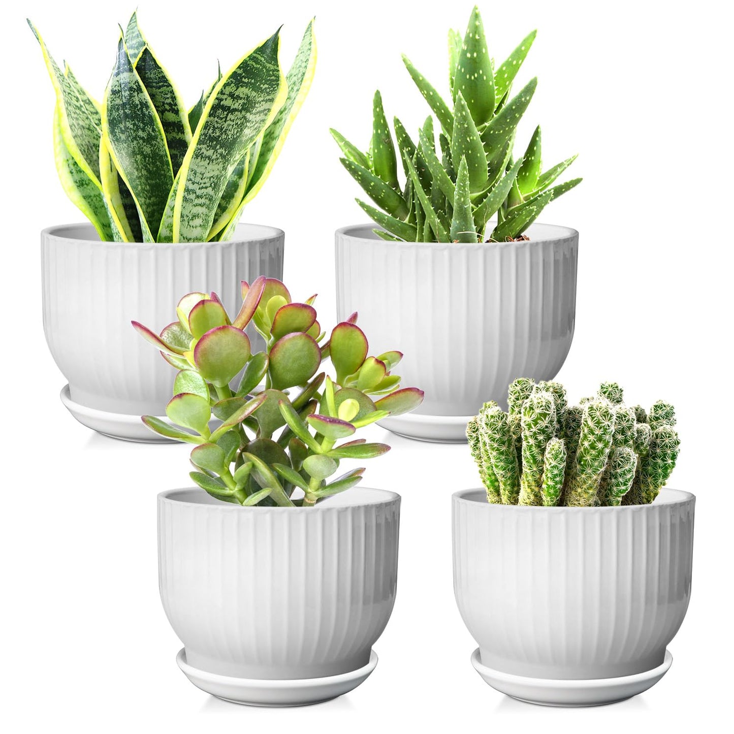 YUFDA 5.5 Inch Plant Pot, Ceramic Planter with Drainage and Saucer，Ceramic Pots for Plants, Indoor Plant pots，Succulent Orchid Flower Pot(Pure White,4 Pack)