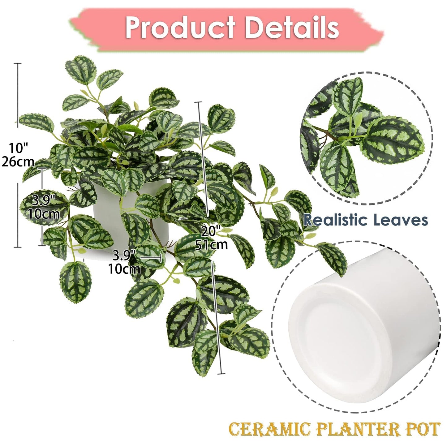 GnFlus Fake Hanging Plants, 20 Inch Artificial Ivy Plant in Ceramic Pot Faux Watermelon Peperomia Trailing Vine Plant Potted for Home Bedroom Office Table Shef Desk Indoor Outdoor Decor Green