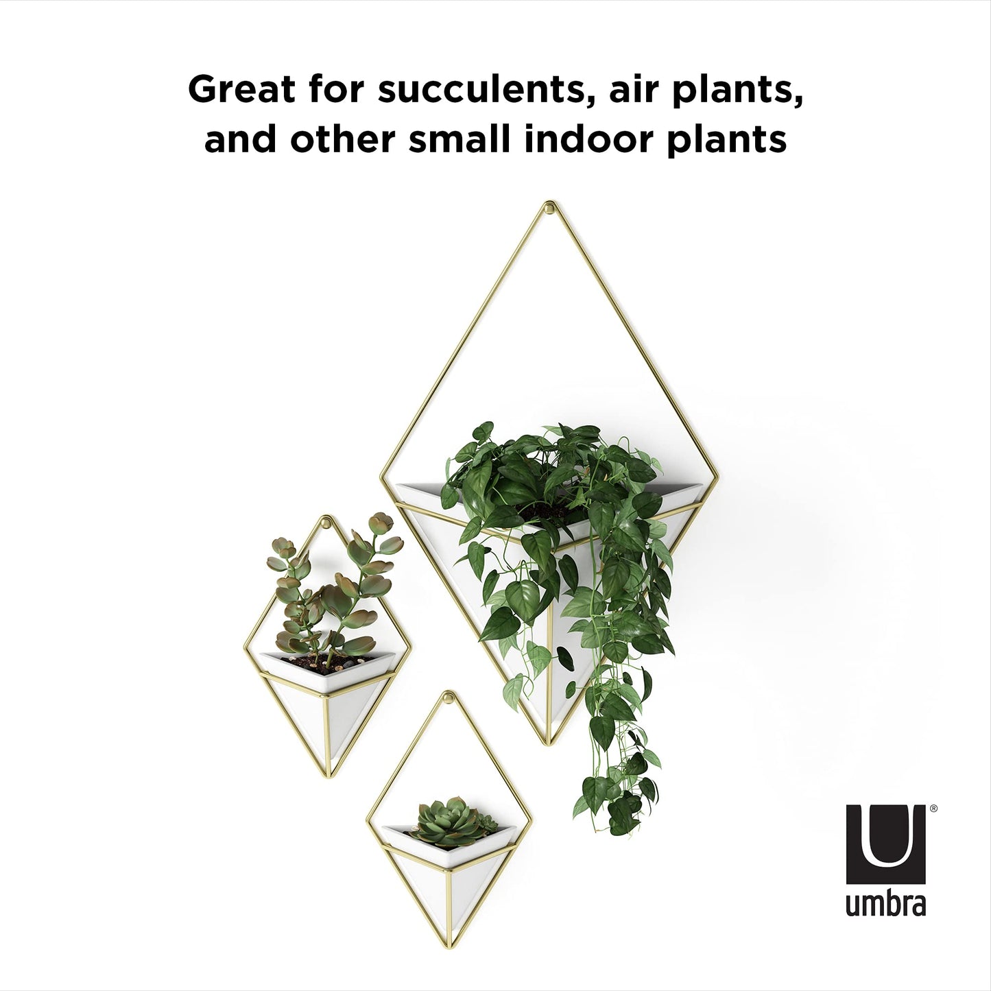 Umbra Trigg Hanging Planter Vase Wall Decor, Set of 2 Pots Containers for Succulents, Cactus, Faux Plants, and More, Small, White/Brass