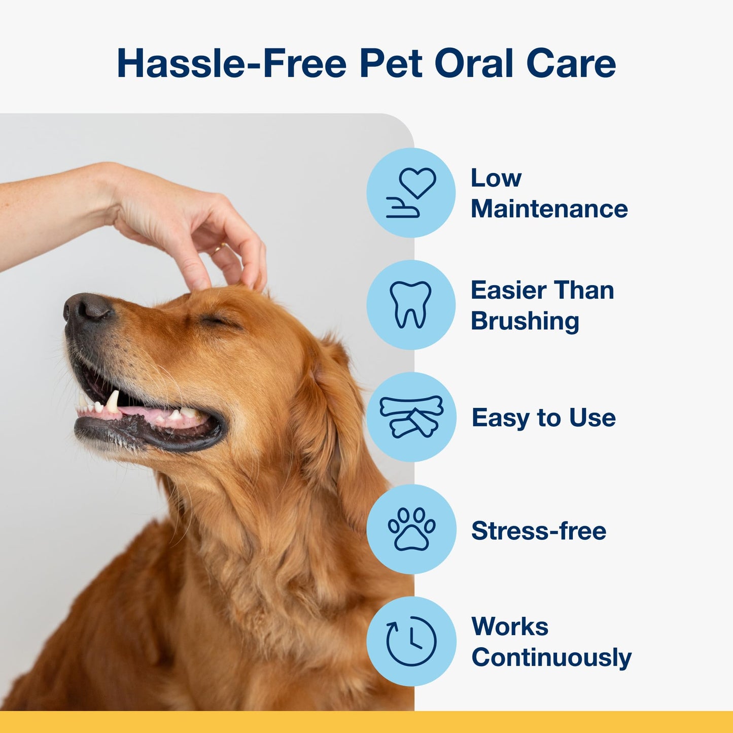 ProDen PlaqueOff 13 Dental Bones for Medium & Large Dogs, Tartar, Plaque & Bad Breath Remover, Improves Overall Oral Health, Pack of 2 (Chicken)