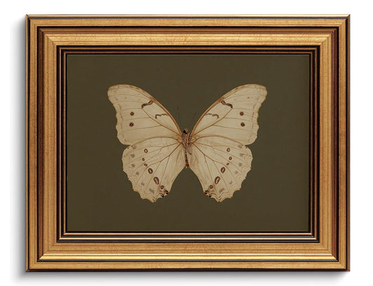 Gold Framed Wall Art Vintage Butterfly Canvas Wall Art White Butterfly Moody Insect Artwork Prints Picture for Living Room Bedroom Farmhouse Bathroom Office Decor, 8x10