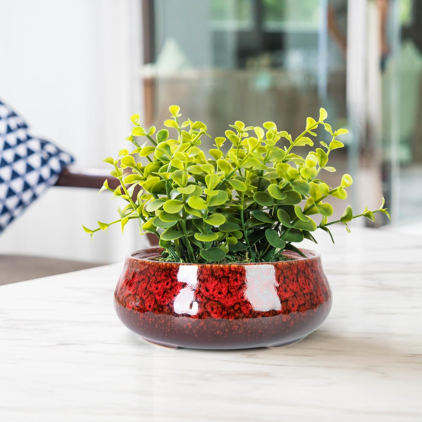 ARTKETTY Succulent Pots - 8 Inch Plant Pot, Large Bonsai Pots with Drainage, Ceramic Planters for Indoor Outdoor Plants, Round Shallow Cactus Flower Plant Container Bowl Decorative Home Garden