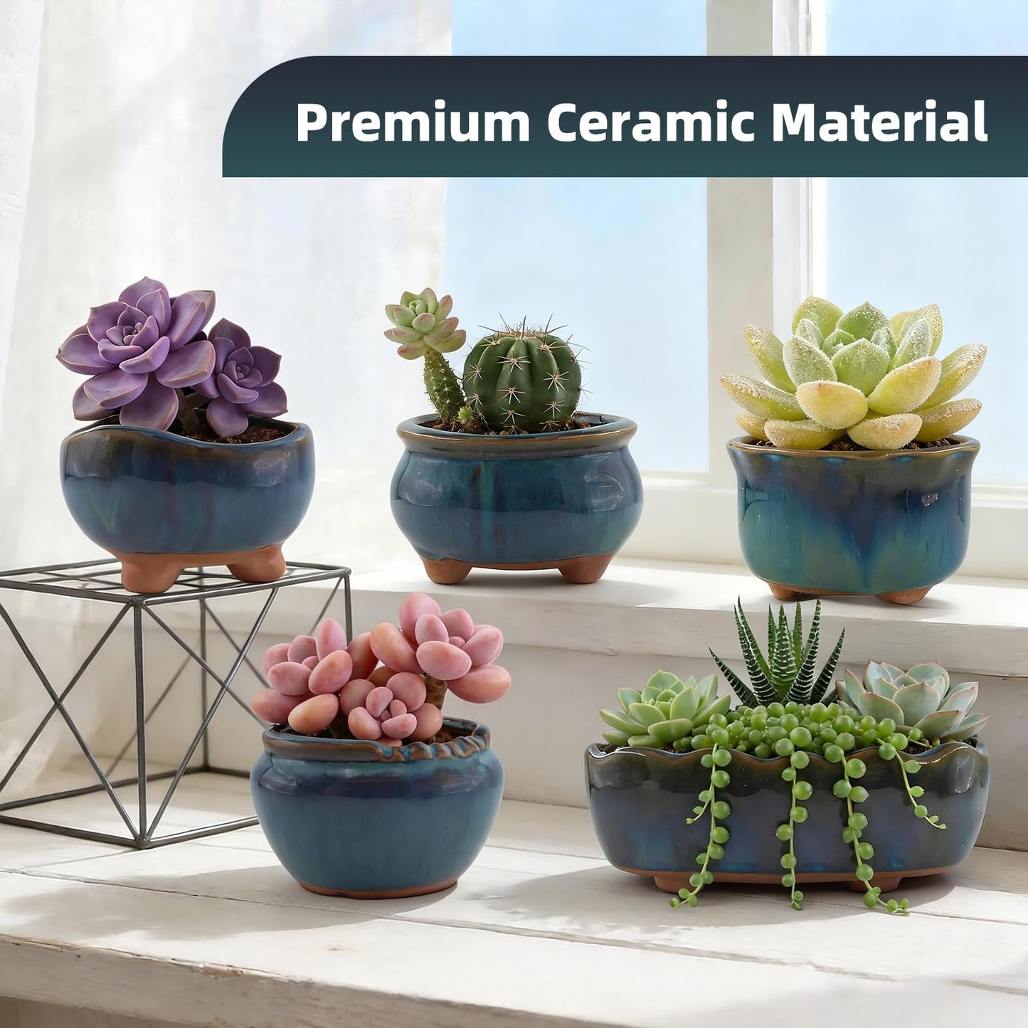ginojex Ceramic Succulent Garden Pots Small Plant Planter Container with Drainage Set of 5 for Home Office Decor