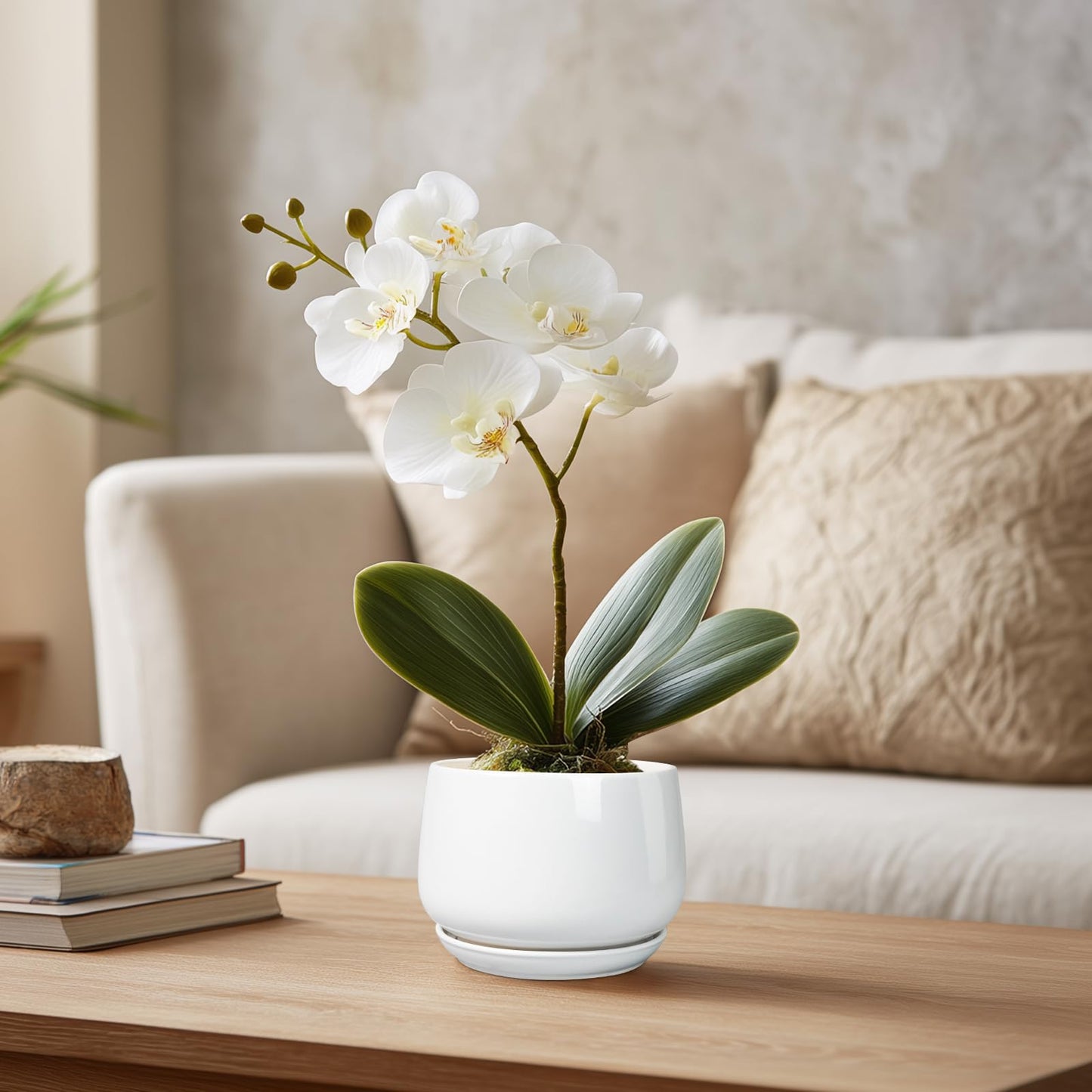 G EPGardening Ceramic Plants Pots - 4 inch Succulent Pots for Indoor Outdoor, Small Planter with Drainage Hole & Saucer, Round Planter, Modern Flower Pot, Office Decor, Plant Lovers Gifts, White