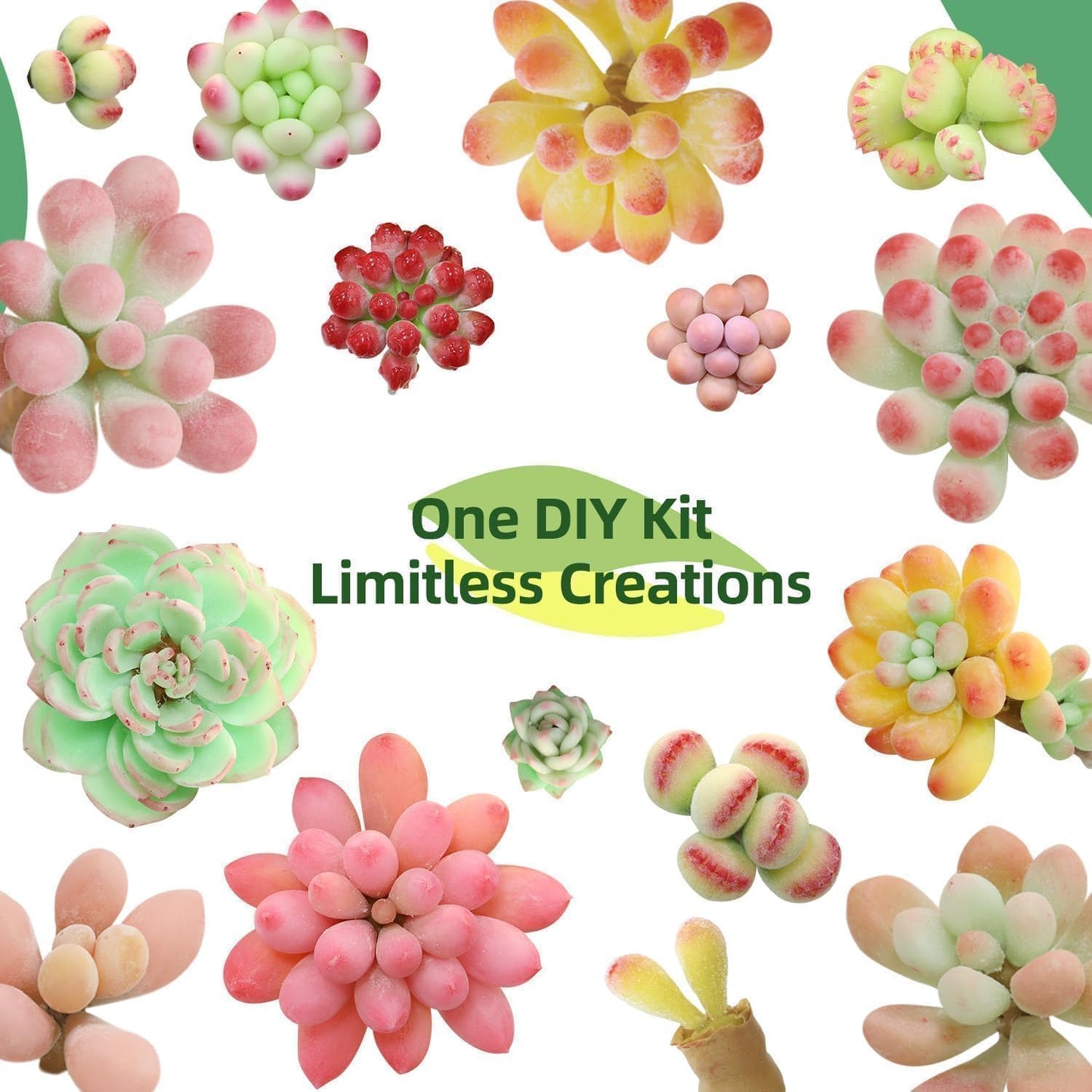 Microland Craft Kits for Teens Crafty Clay Kit for Succulents Flower Making Fun Adult Activities of Arts and Crafts Art Therapy Crafting Set Creative Gift for Artist Girl Mothers Day Gift for Mom Wife