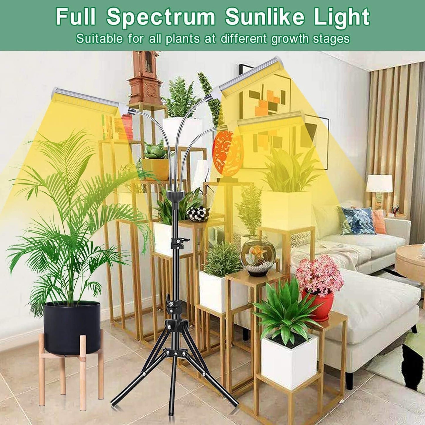 CHANGSHENG Plant Grow Light，Grow Light for Indoor Plants with 20-60'' Height Adjustable- Full Spectrum Timer, 3 Switch Modes, Adjustable Tripod Stand & Gooseneck for Larger Plants (Tri Heads)