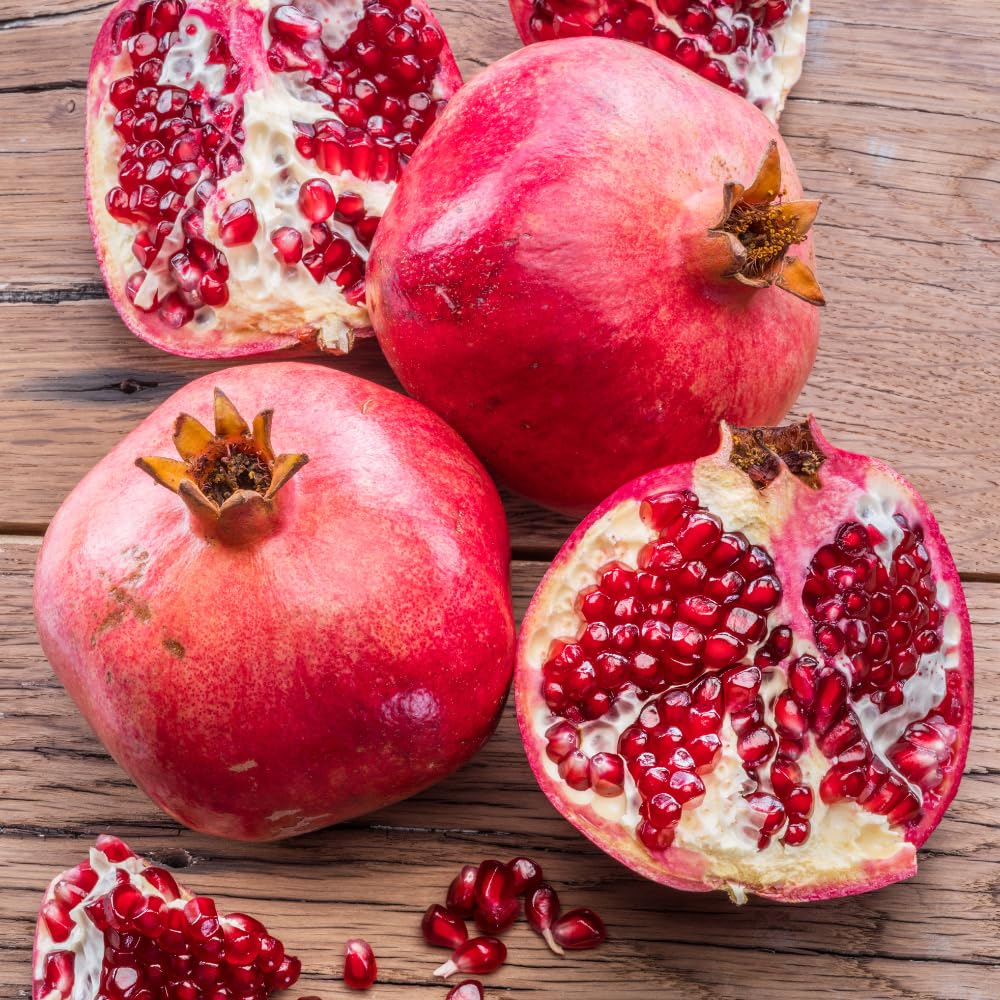 Cold Hardy Pomegranate Tree in Gallon Pot, 20-24 Inches Tall, Live Pomegranate Farfianka Plant, Easy-Care Strong Rooted Plant, Beautiful, Hardy Tree for Outdoor Growing, No Ship to CA,HI,AK