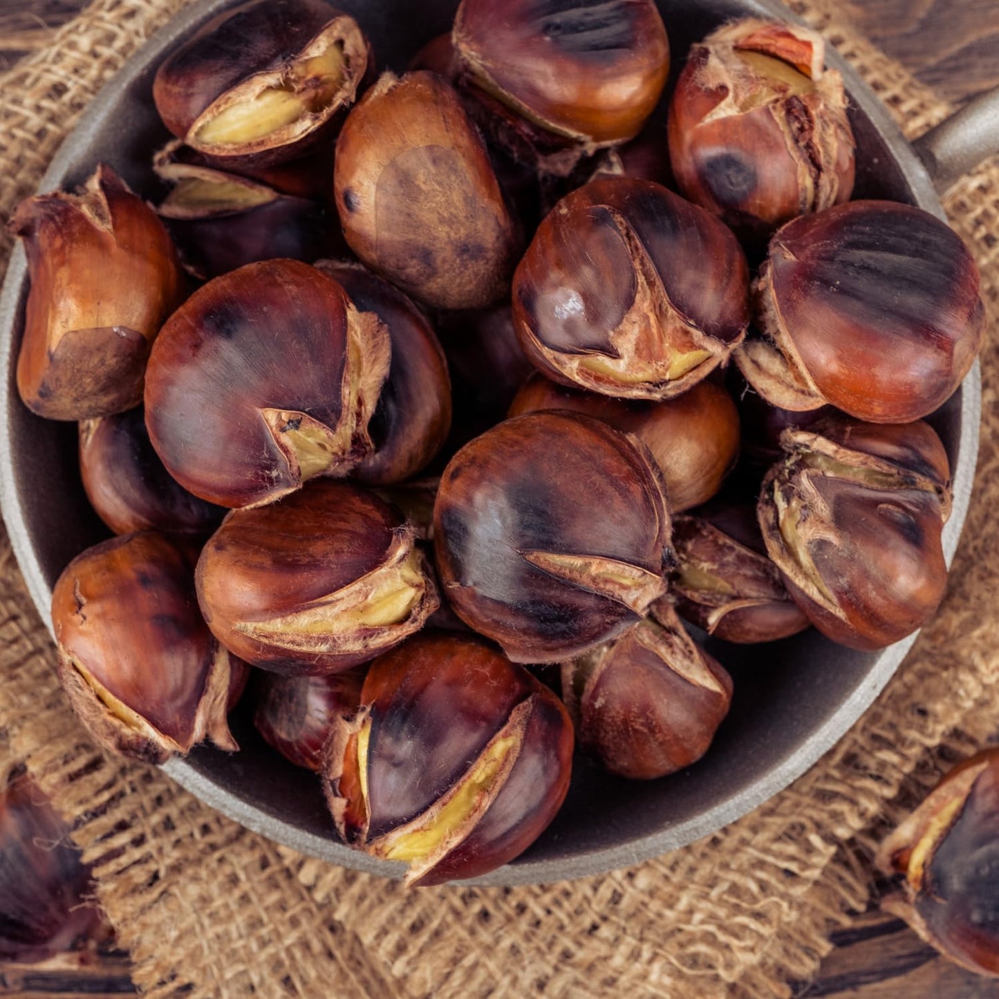 Chestnut Tree Live Plant 6–12 Inches Tall, Edible Nut Tree Seedling, Outdoor Garden Tree for Growing
