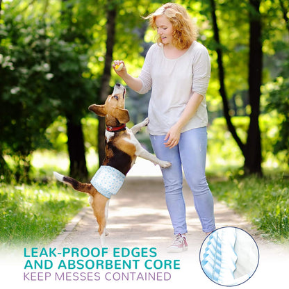 Flying Paws Male Dog Nappies, M-22 Disposable Dog Wraps for Puppy Incontinence Super Absorbent Male Wraps, Soft Cotton, Stereoscopic Edge Fit for Potty Training, Travel