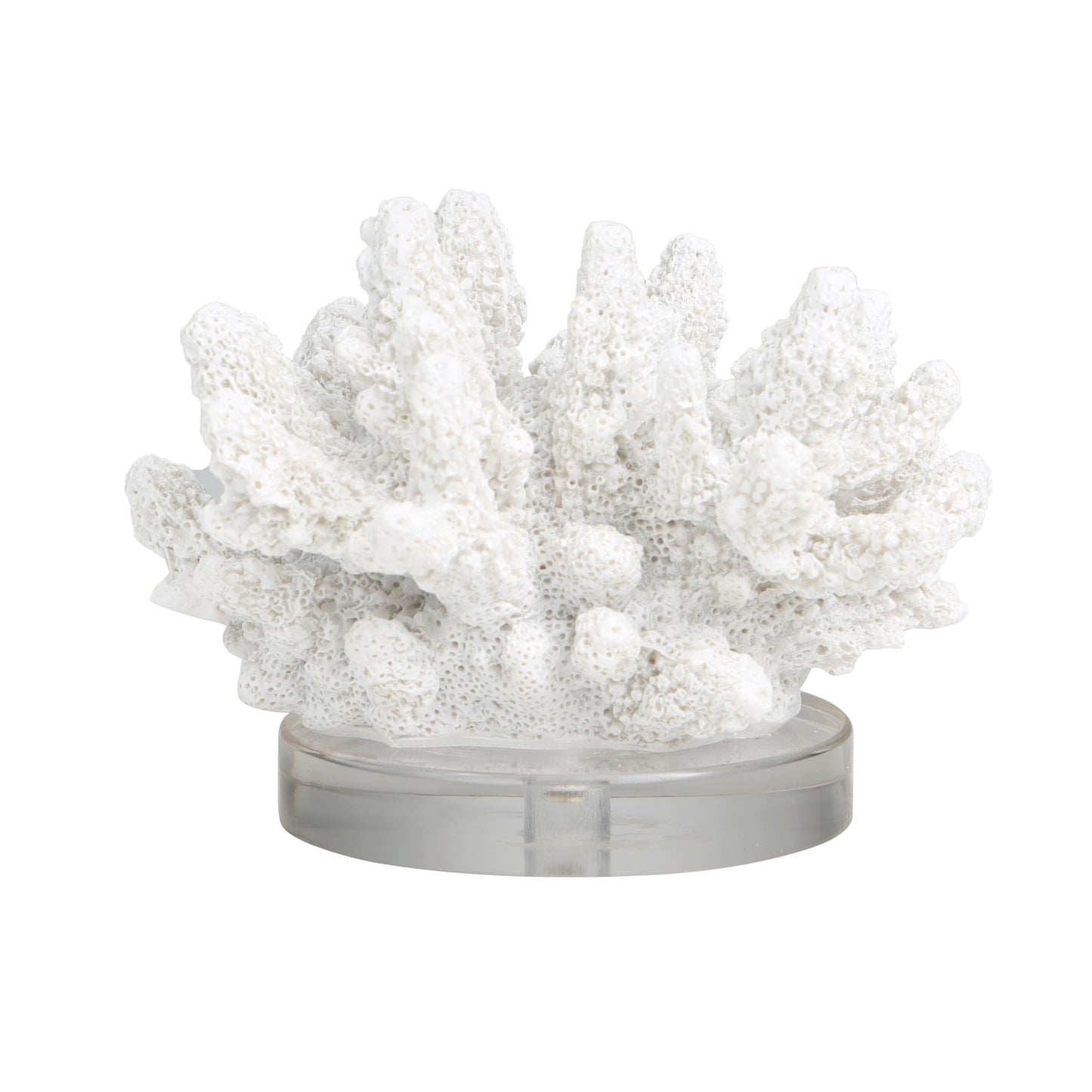 Deco 79 Polystone Coral Decorative Sculpture Small Textured Home Decor Statue with Clear Acrylic Base, Accent Figurine 6" x 5" x 4", White