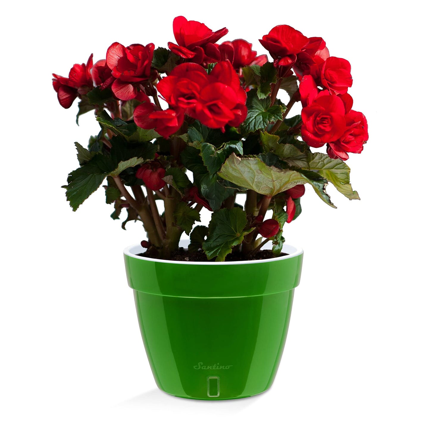 Santino ASTINO 9.2 Inch Self Watering Planter Green-Gold/White for Indoor Plants - Premium Quality Plastic Pot with Water Level Indicator for All House Herbs, Plants, African Violets and Dahlias