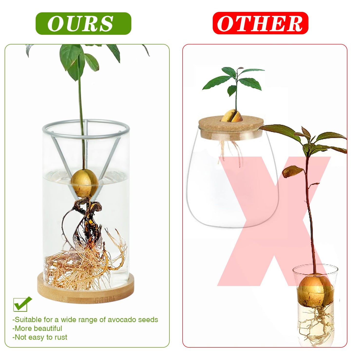 2 Pack Avocado Tree Growing Kits, Avocado Growing Vase Wooden Base Avocado Seed Starter Vase Glass Plant Pot Easy Seed Sprout Starter Gift for Women Gardening Lovers Home Office Table Decoration