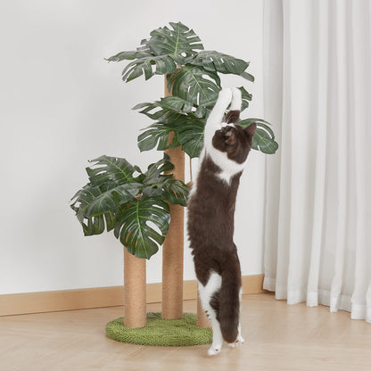 31.5Inch Cat Scratching Post,Cat Scratcher Tree with 3 Scratching Poles & 2 Interactive Dangling Balls,Cats Scratching Posts for Indoor Kitten & Adult Cats (Monstera tree)