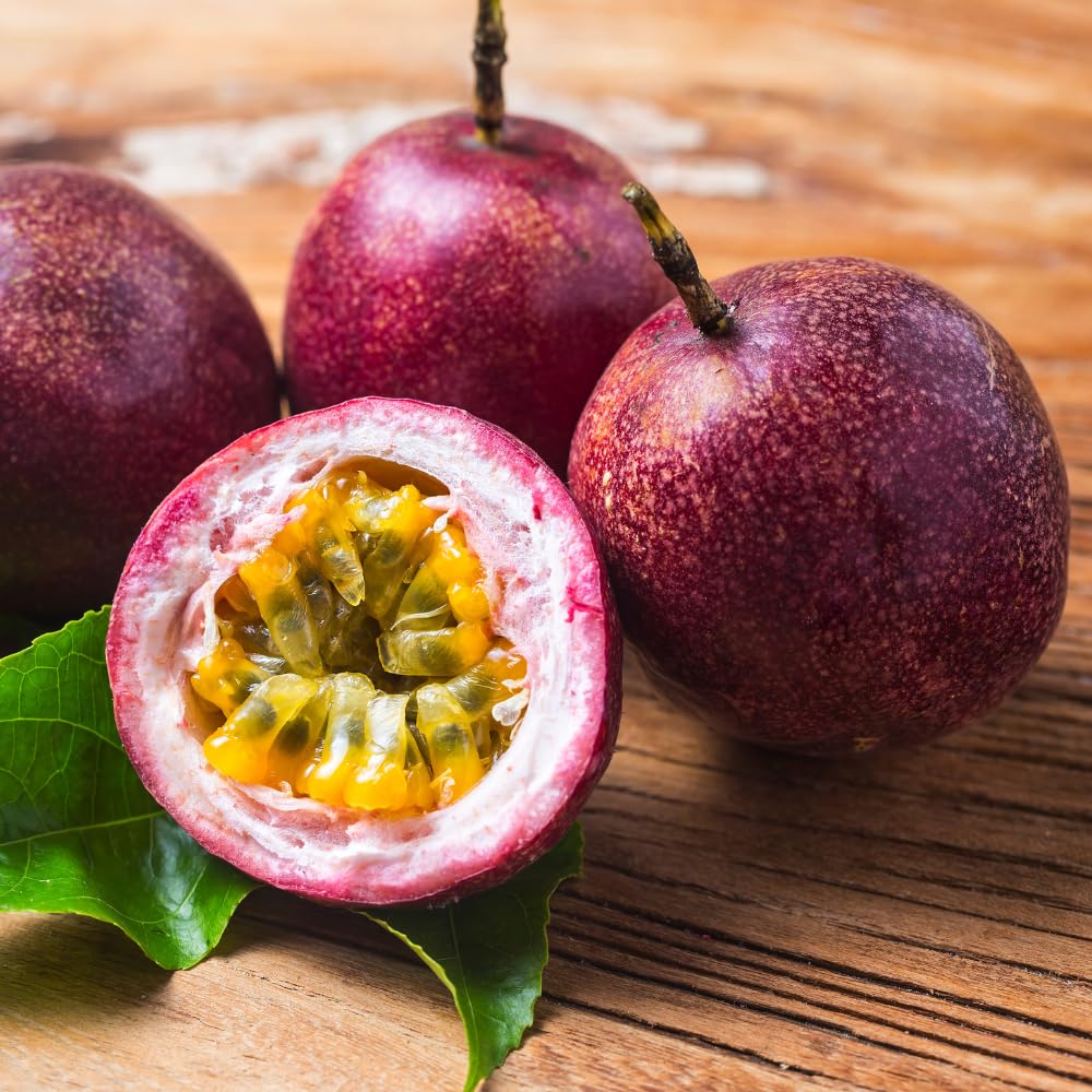 Purple Passion Fruit Tree Live Plant, Passionfruit Vine Plant, 5 to 9 Inc Tall Seedling, Passion Plant for Growing