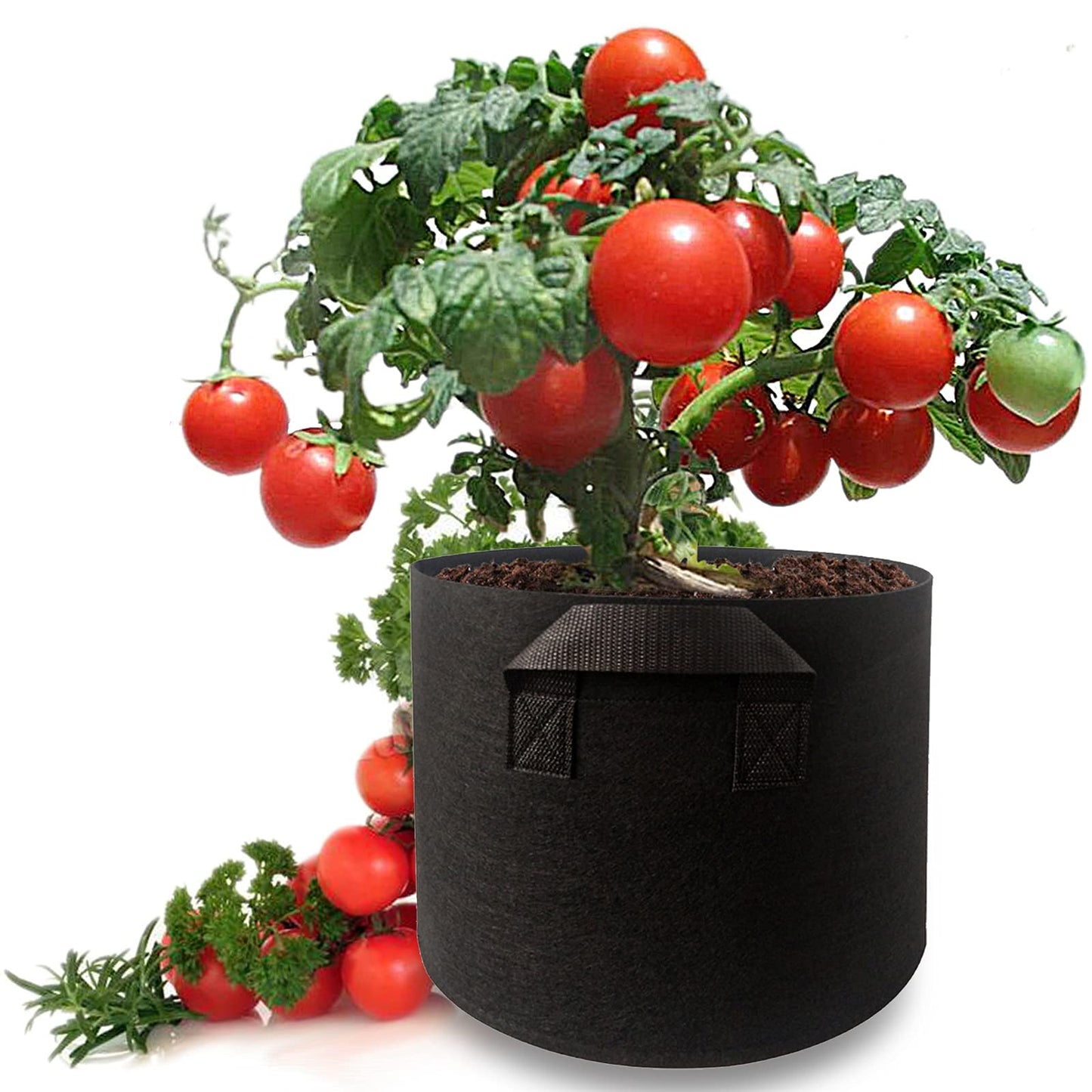 2 pcs 15 Gallons Nonwoven Plant Grow Bags with Handles, Heavy Duty and Best air permeablity for Flowers, Fruit Trees, Vegetables, Garden Plants