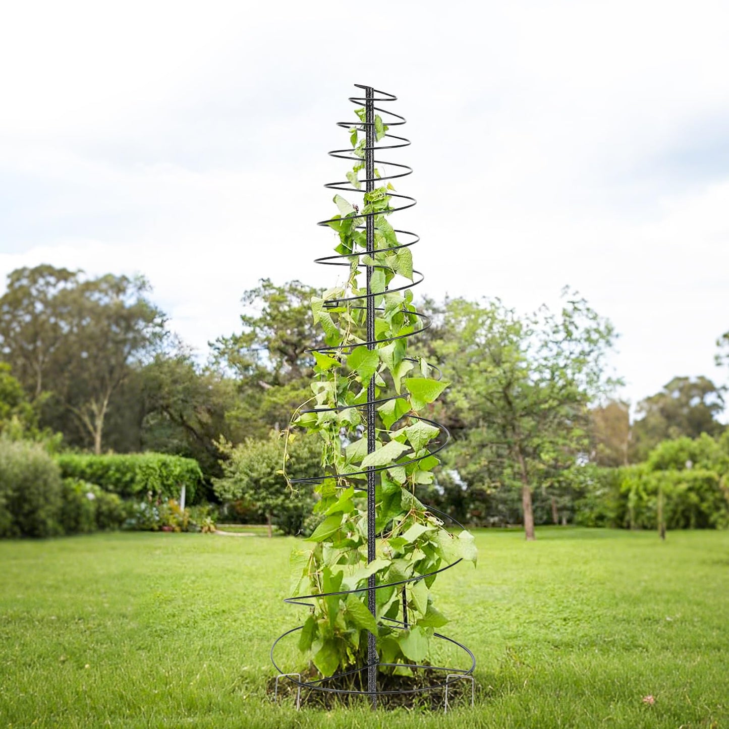 Trellis for Climbing Plants Outdoor or Indoor,73inch Tall Garden Trellis for Climbing Plants,Metal Plants Trellis Support for Vine Vegetables,Flowers