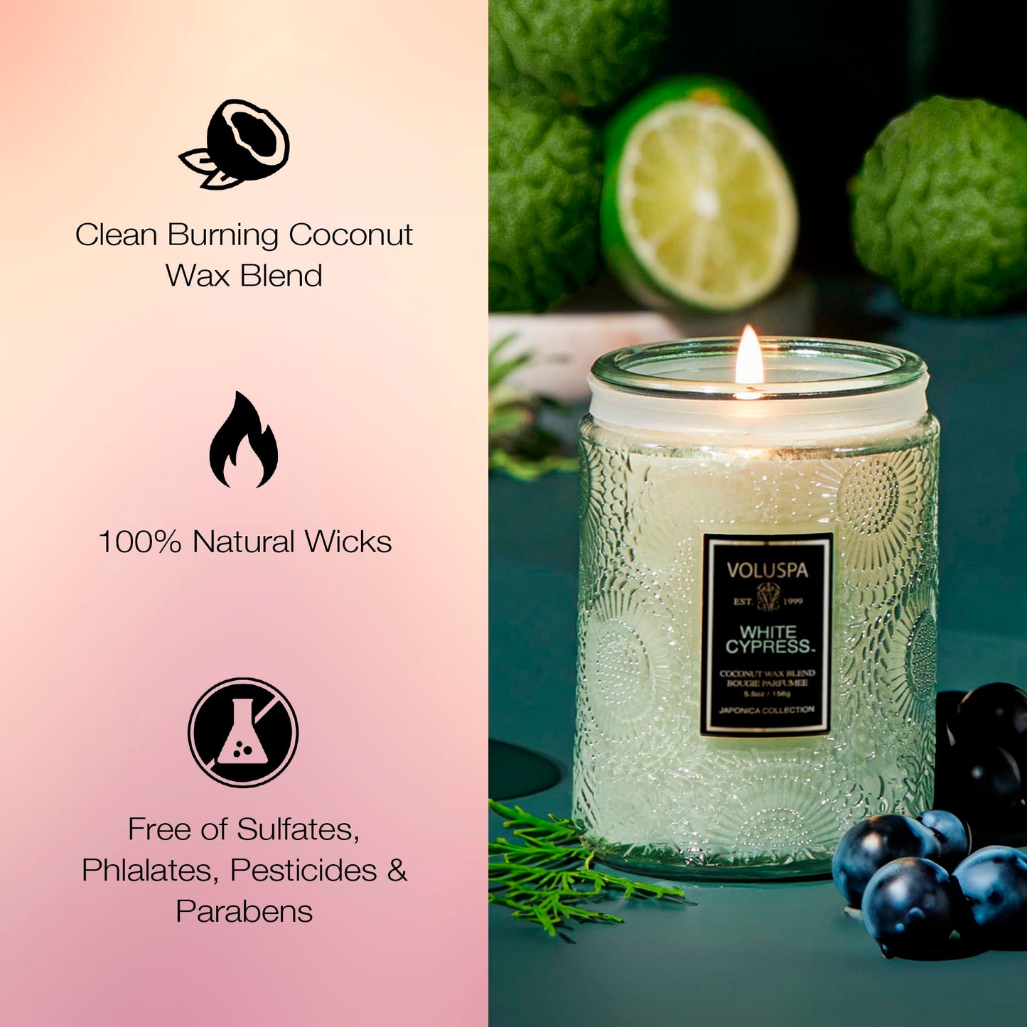 Voluspa White Cypress,Small Candle Jar, 5.5 Ounce,50 Hour Burn Time, & Coconut Wax for Clean Burning,,Handcrafted in the USA