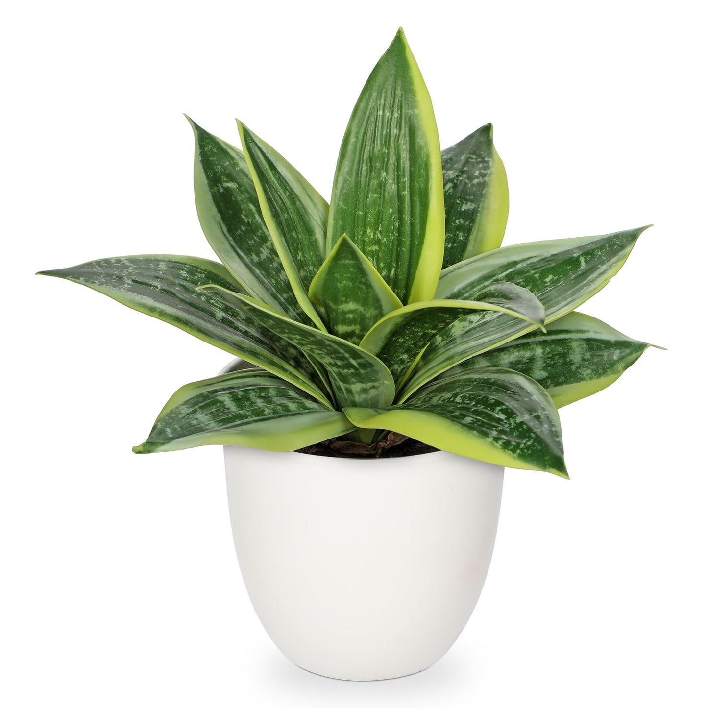 Hollyone Artificial Snake Plants 9" Faux Agave Succulent Plant Potted in White Pot Fake Sansevieria Aloe Tropical Plant for Desk Modern Office Home Bathroom Indoor Outdoor Decor