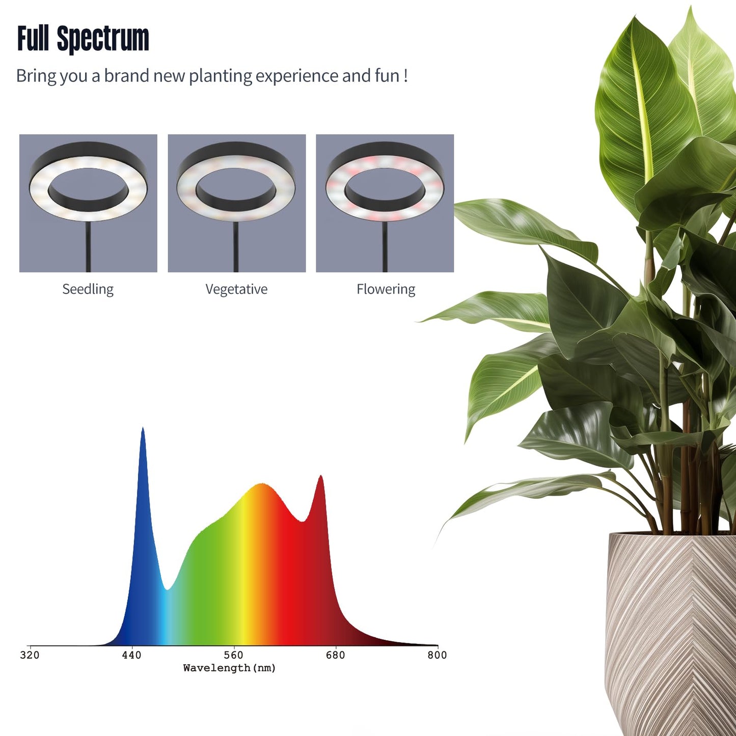 GLOWRIUM Grow Lights for Indoor Plants, 36W Full Spectrum 2-Head LED Plant Light with Stand, Adjustable Height, 3/9/12H Timer, 6 Dimmable Levels & 3 Lighting Modes(Black-Double Head)