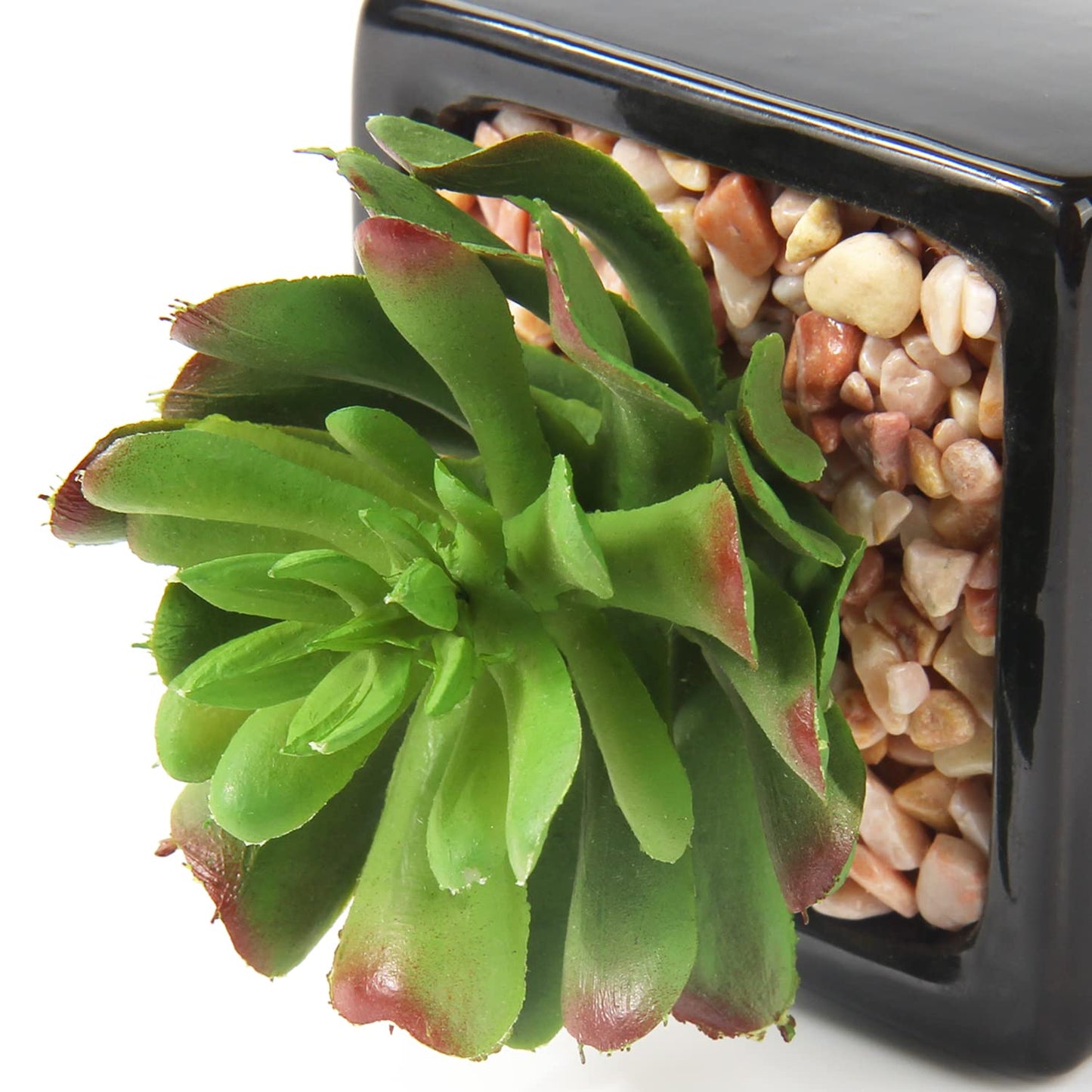 Hollyone Small Succulents Artificial 3 Pcs Faux Succulents in Pots Fake Succulent Plants with Black Ceramic Pots for Modern Home Office Desk Bathroom Shelf Living Room Decor