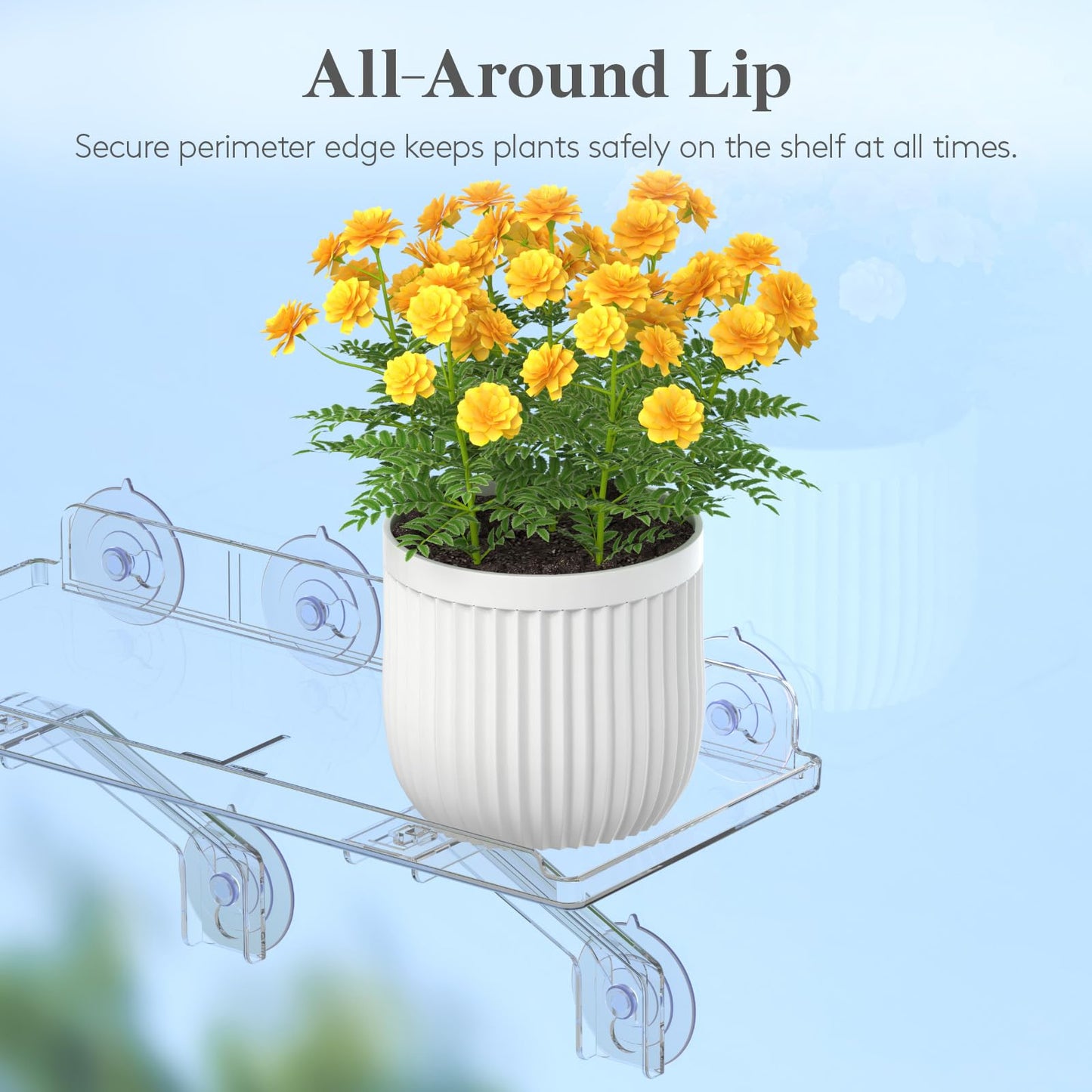 Lifewit 6" Extra Wide & Strong Window Plant Floating Shelves 2 Pack, Heavy Duty Acrylic Suction Cup Shelf, Sill Extender for Succulent Plants, Seed Starter Pots, Herb Planters 38 x 15 cm/15.2x6