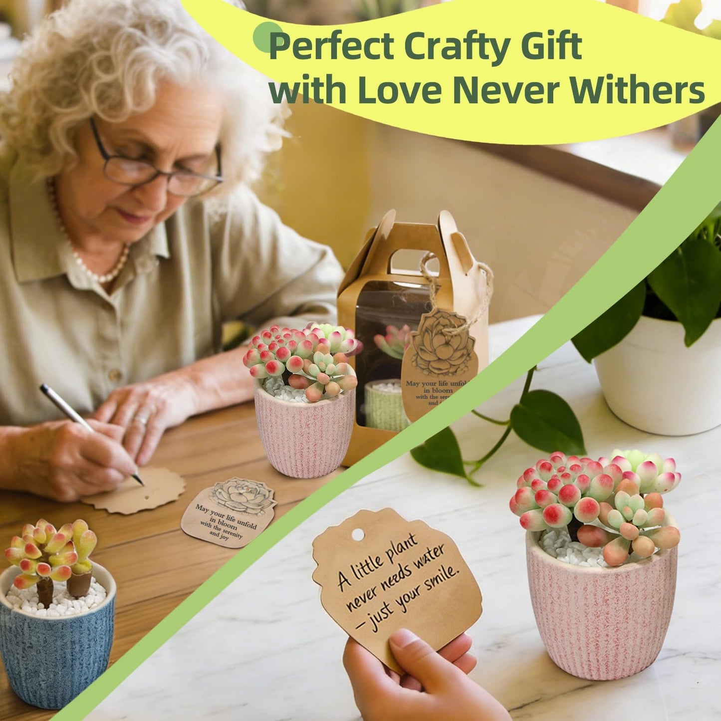 Microland Craft Kits for Teens Crafty Clay Kit for Succulents Flower Making Fun Adult Activities of Arts and Crafts Art Therapy Crafting Set Creative Gift for Artist Girl Mothers Day Gift for Mom Wife