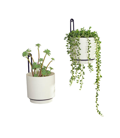 CISEANOL 2 Pcs Wall Mounted Hanging Planter Vase for Indoor and Outdoor Plants Modern Metal Wall and Ceiling Planter Minimalist Flower Pot (White, 5.91 inch)