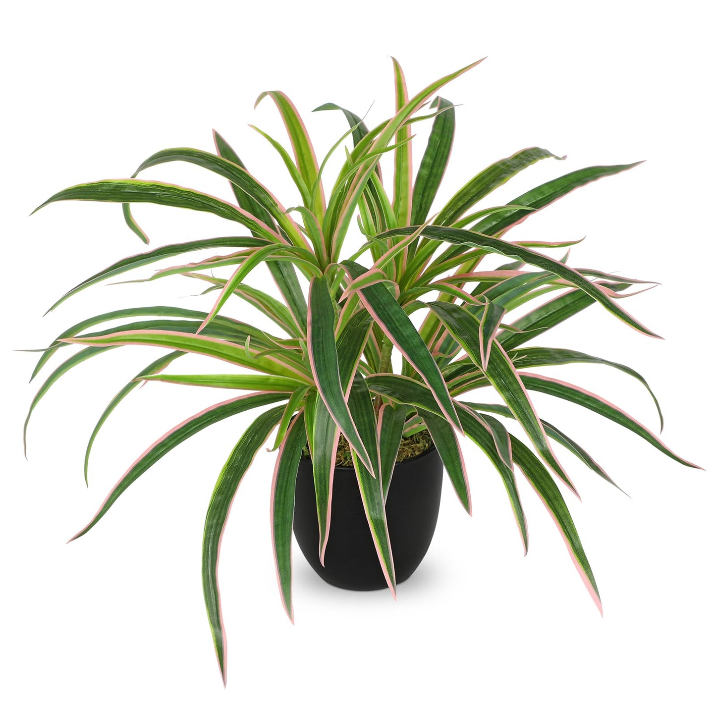GnFlus Fake Hanging Plant, Faux Spider Plant in Black Pot Artificial Grass Plants 13 Inch Faux Potted Plants for Home Office Table Shelf Indoor Outdoor Pink and Green