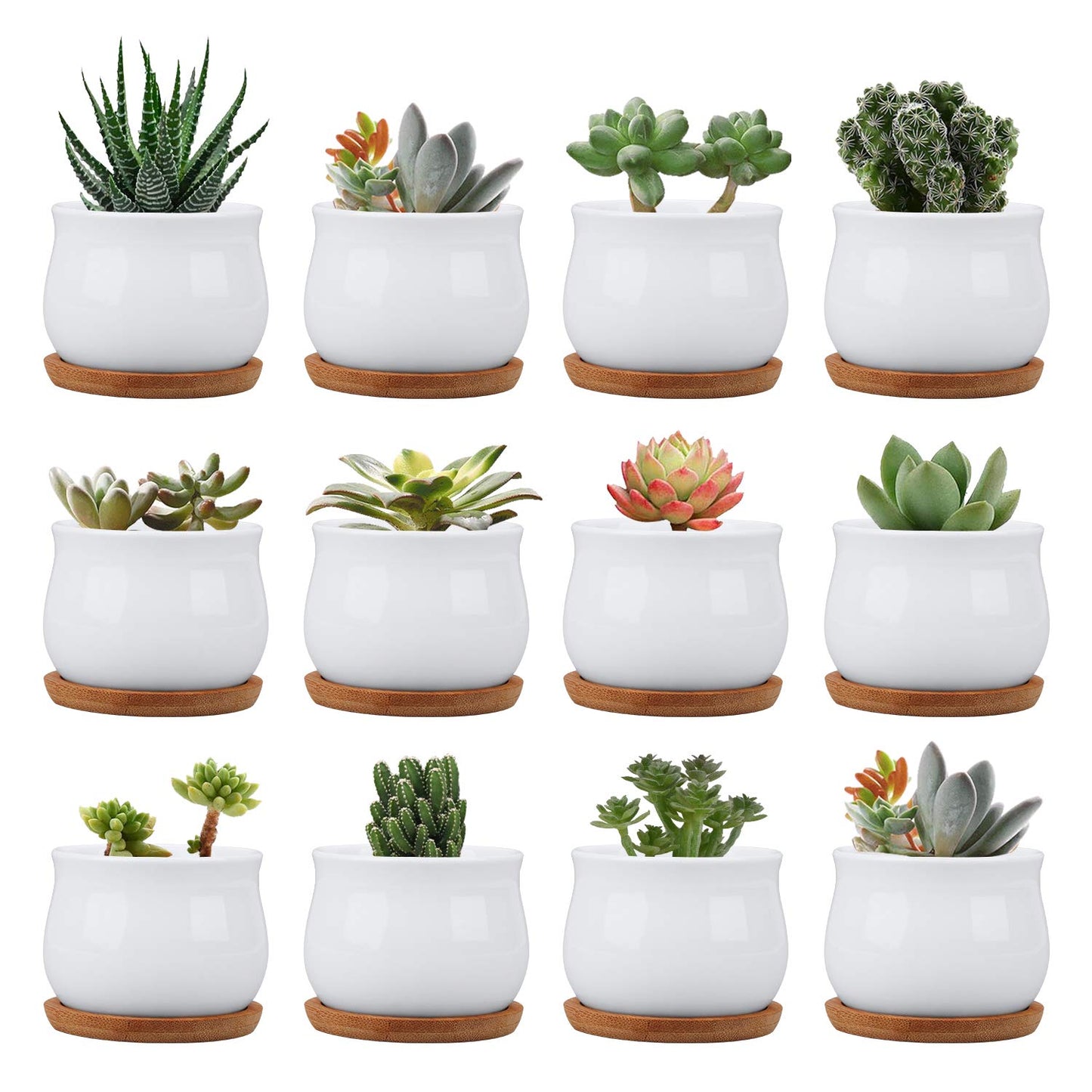 Brajttt Succluent Pots ，Small Flower Pots Planter Pots with Drinage,Ceramic Flowers Pots with Bamboo Tray for Cactus(12 Pack