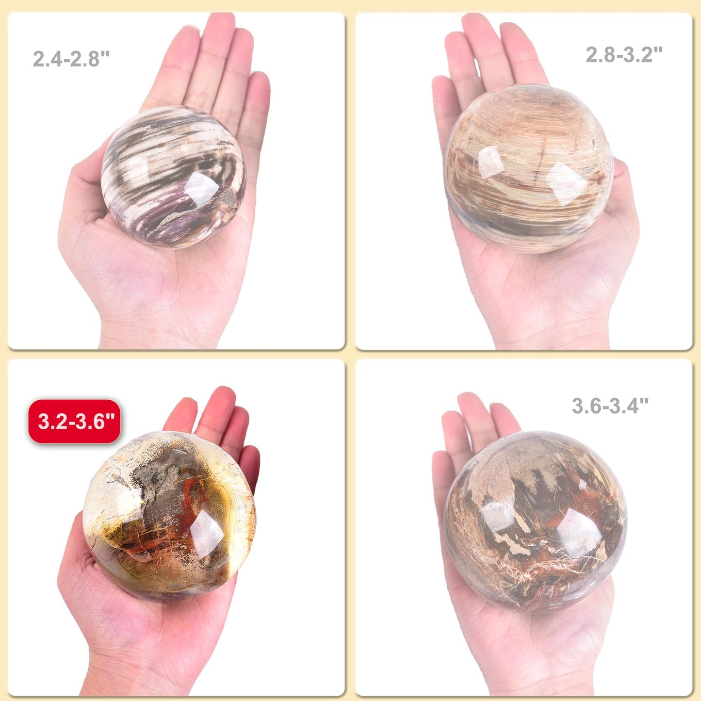 AMOYSTONE Crystal Sphere Heavy Petrified Wood Orb for Living Room Decor