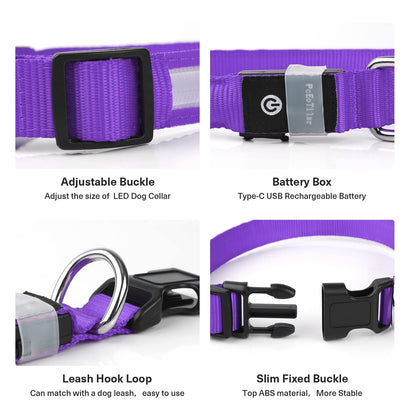 PCEoTllar Light Up Collar - Rechargeable Flashing LED Collar for Small, Medium & Large Dogs - Waterproof, 7 Colors Glowing, Purple (8 Mode)