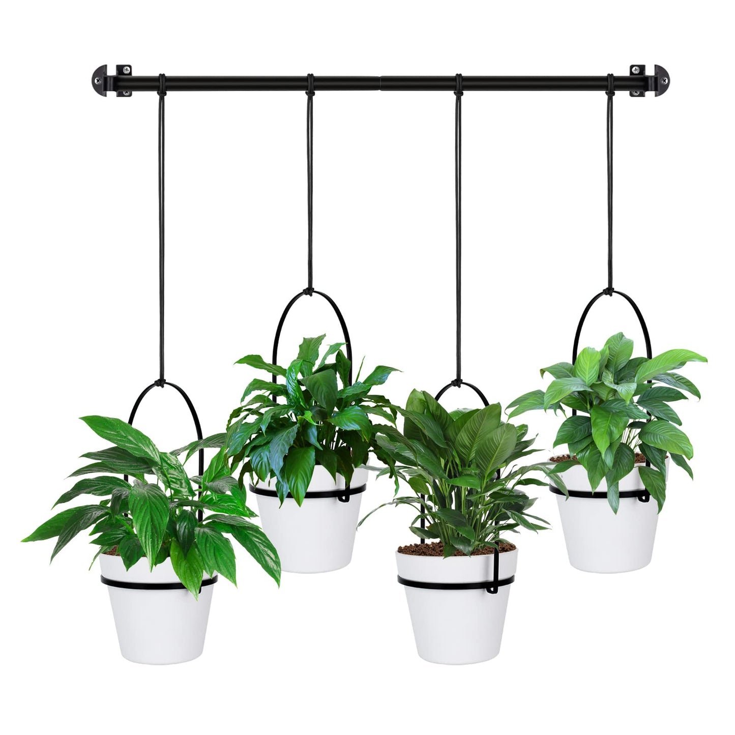 E-Know Hanging Planter Hanging Plant Holder, 6 Inch 4 Indoor Plastic Plant Pots, Wall/Window Plant Hanger Indoor Herb Garden