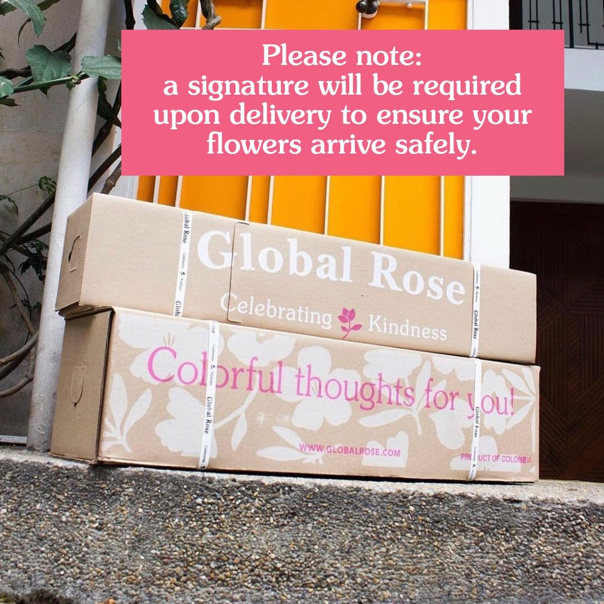 GlobalRose Real Fresh Cut Red Roses - 50 Fresh Flowers - Real Flowers Bouquet for Mother's Day, Gift or Wedding