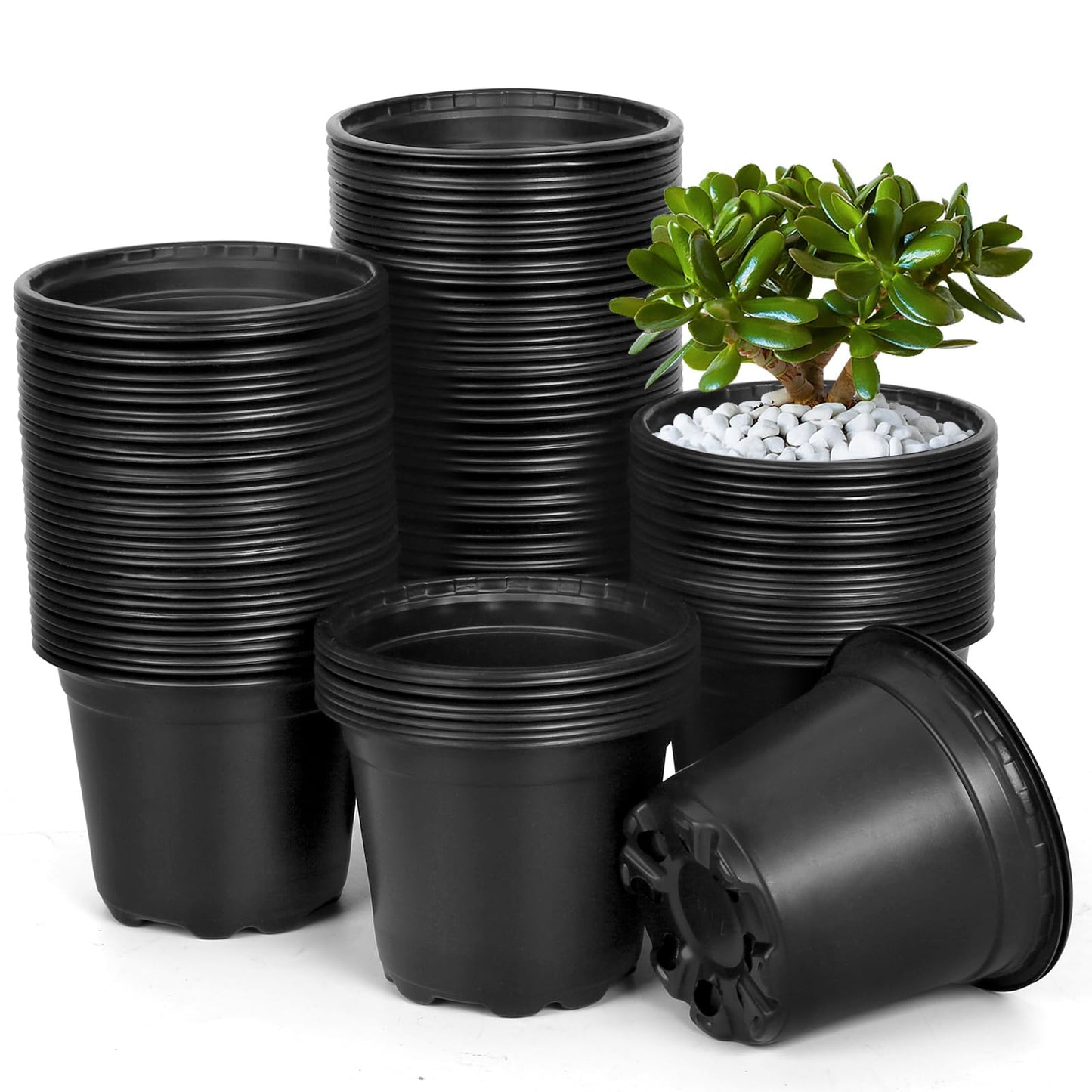 DUNPUTE 120 Pack 4 Inch Nursery Pots for Plants, Plastic Seeds Starter Pots with Drainage Holes, Small Plastic Plant Pots for Succulents Seedling Cutting Transplanting