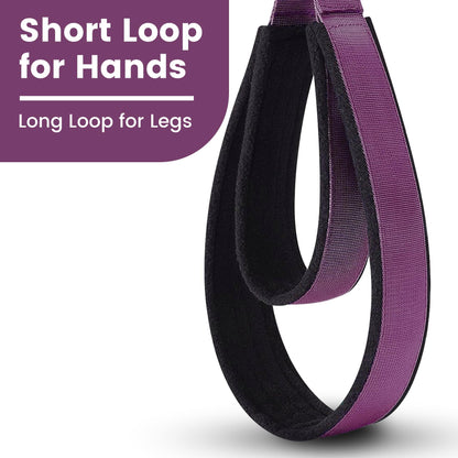 2PCS Pilates Double Loop Strap for Reformer Fitness D-Ring Straps Handle, Yoga Pilates Equipmen D-Ring Exercise Strap for Gym Workout Home (Purple)