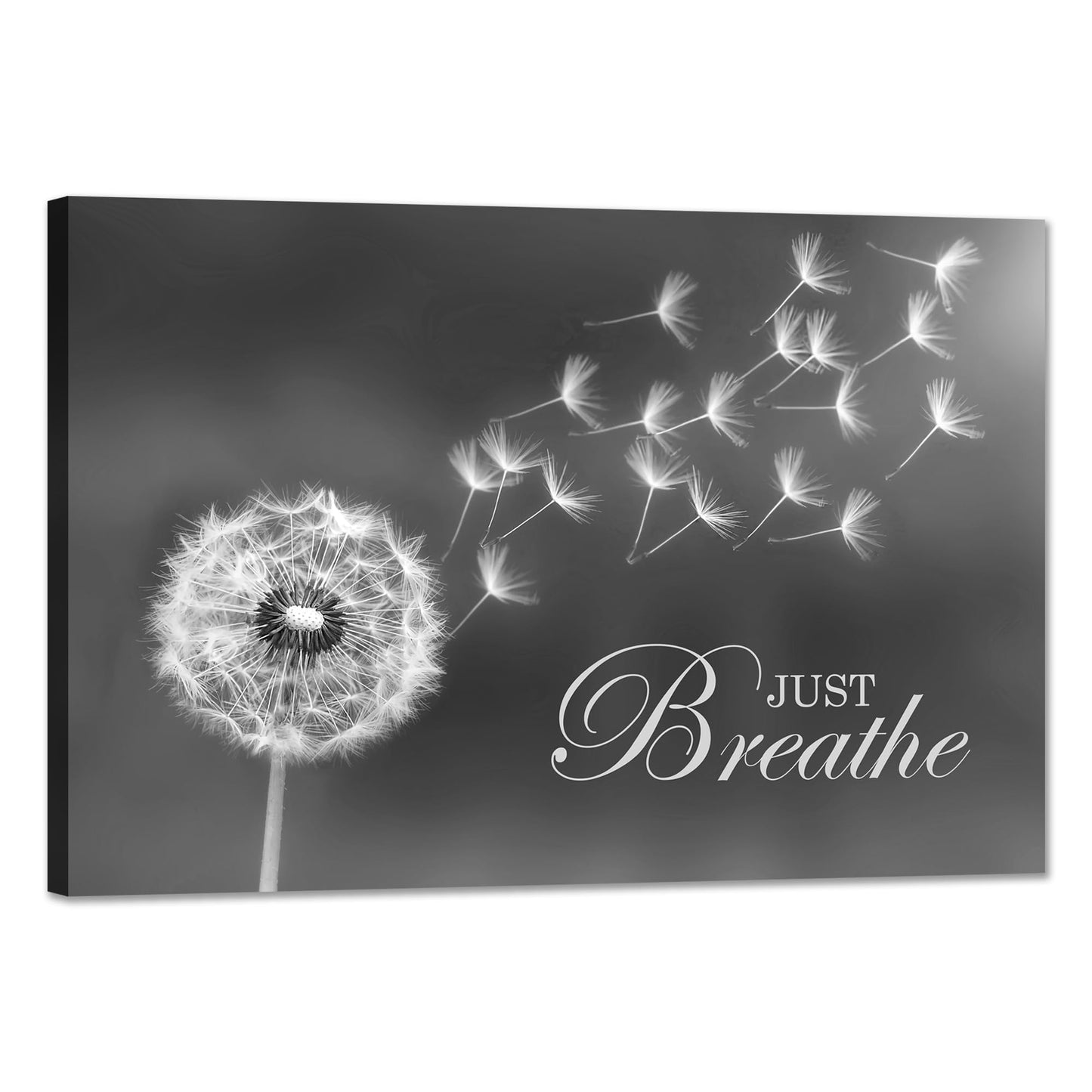 SKASNFAI Black and White Dandelion Zen Wall Art Canvas Just Breathe Motivation Positive Picture Art Print for Spa Yoga Meditation Wall Decor Ready to Hang (16L x 24W)